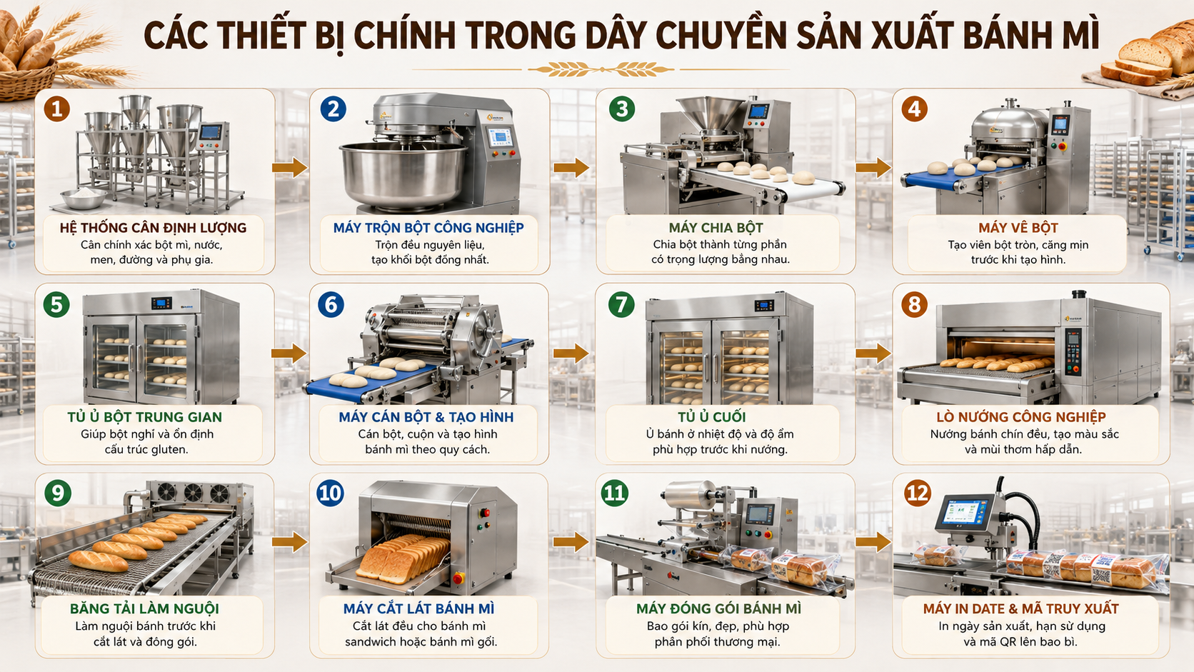 Dây Chuyền Sản Xuất Bánh Mì